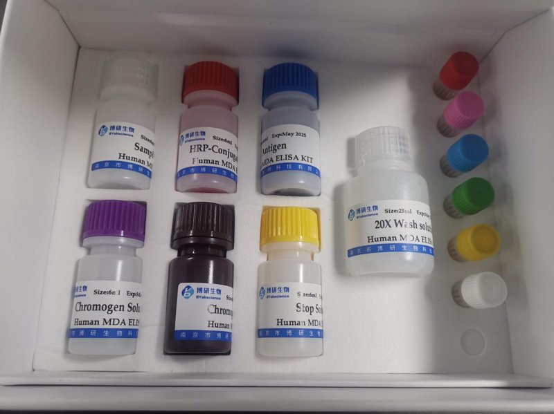 生物制品：引领未来医疗健康的引擎