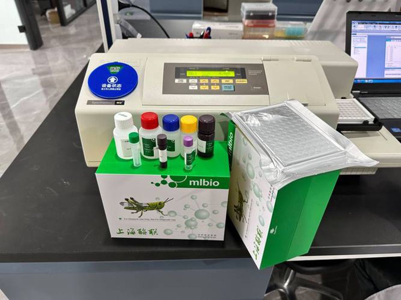 生物医药：未来医疗的希望之光